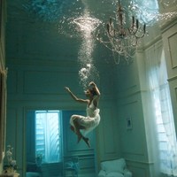 坠落的电子羽毛